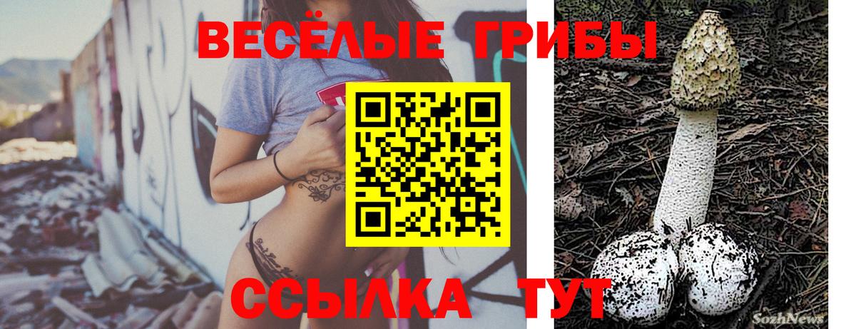 Галлюциногенные грибы MAGIC MUSHROOMS Омск