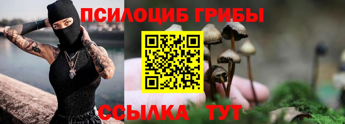 Псилоцибиновые грибы Psilocybine cubensis  Вход с VPN  Омск 